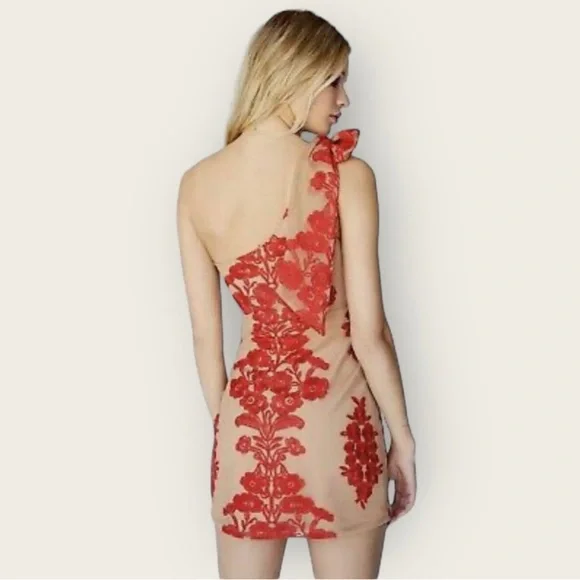 For love & Lemons Temecula Red Tan One Shoulder Mini Dress Embroidered Mesh XS - Picture 4 of 12